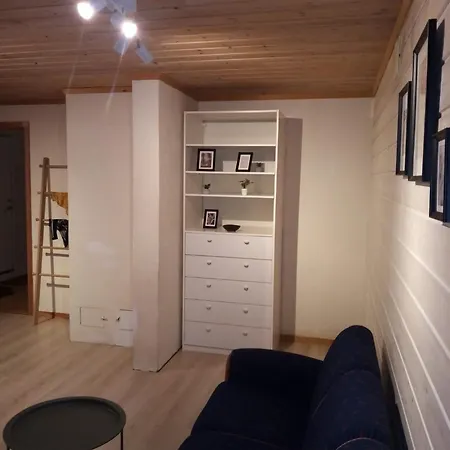 Apartament Spacious In